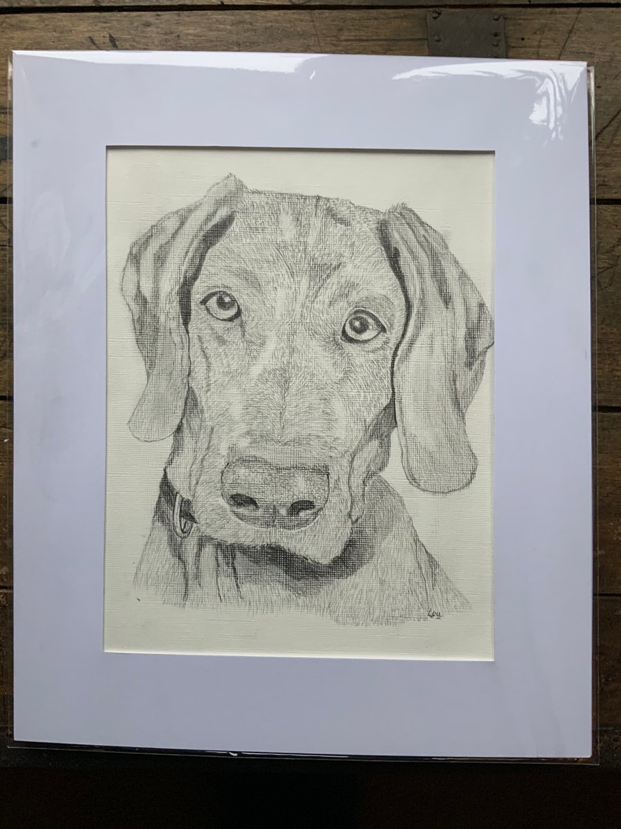 Pet Portrait.  Pencil drawing of your pet Dog, Horse, Cat etc. Please message me