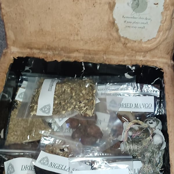 Witchy Supplies  Curiosity Box full of goodies for spell casting supplies Herbs