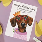 Mother's day funny and cheeky greeting card for dog mum of Dachshund sausage dog