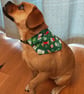 Christmas dog bandana,  dogs in Christmas jumpers, Merry Woofmas! from 4.00 - Image 9