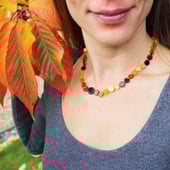 Baltic Amber Specialist