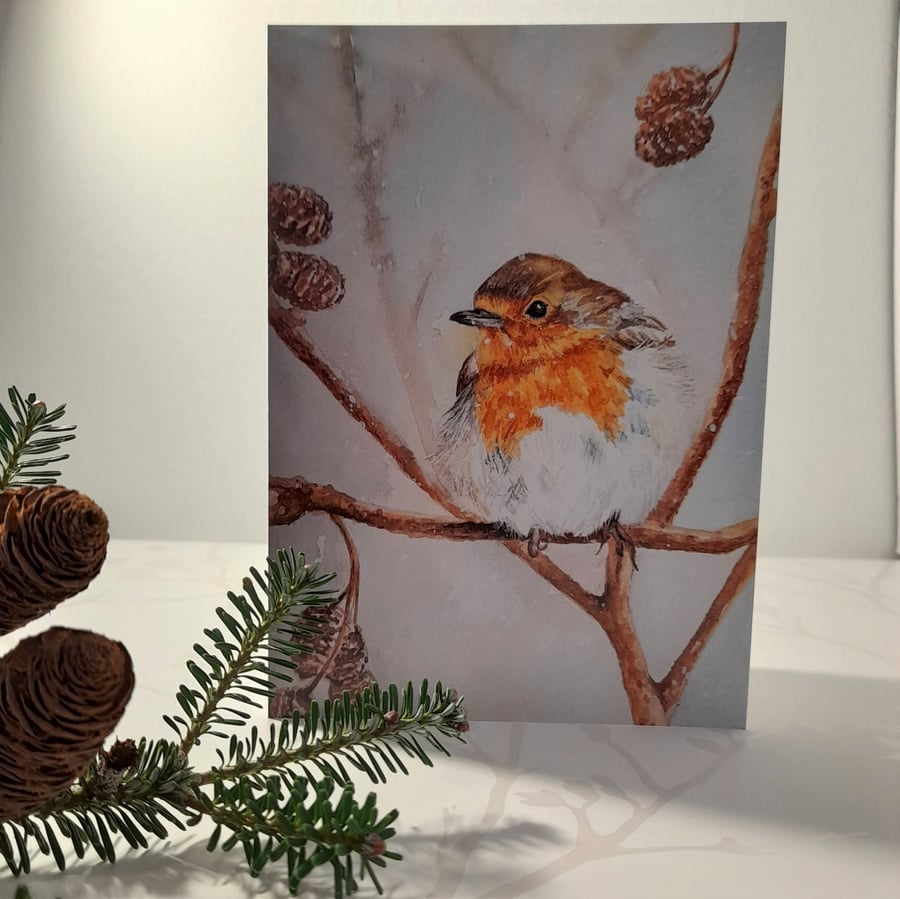Winter Robin - Greeting Card