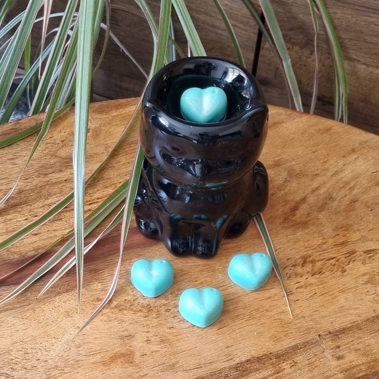 Soy Wax Melts Hearts Pack of 10 Fragrance Lemongrass and Ginger 65g