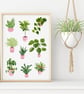 Houseplants Art Print - Plant Lover Gift - Image 5