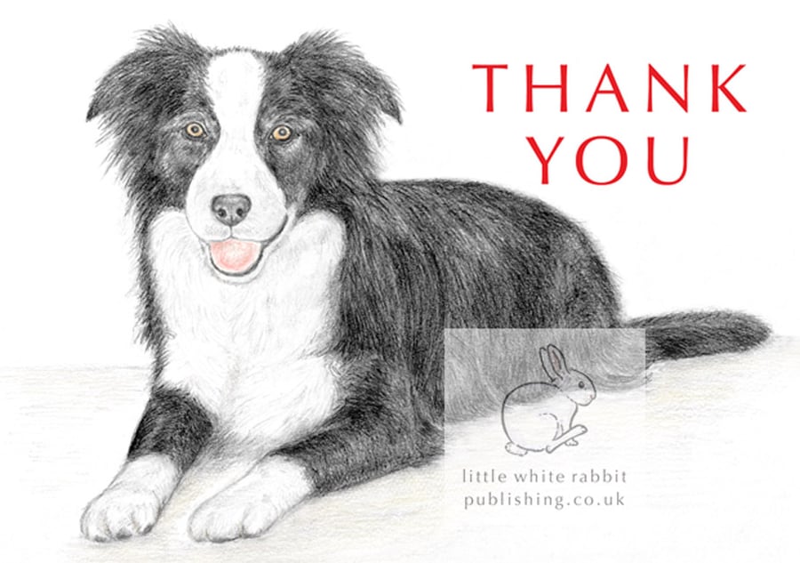 Ivy the Border Collie -  Thank You Card