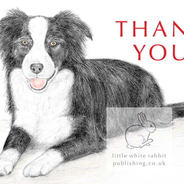 Ivy the Border Collie -  Thank You Card