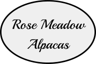 Rose Meadow Alpacas