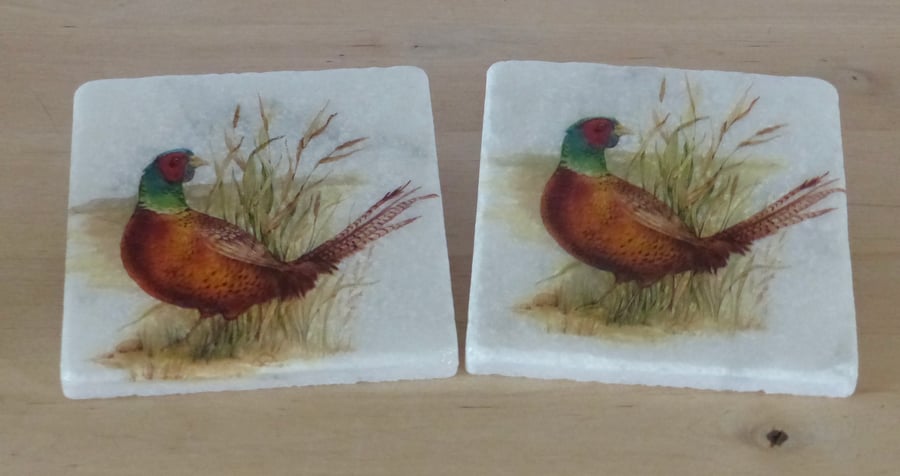 Marble 'Pheasant' Coasters