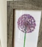 'Allium' 10" x 4" Framed Print - Image 2