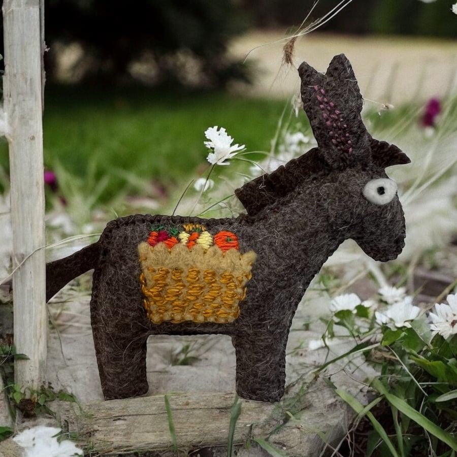 Gift for a Donkey Lover  