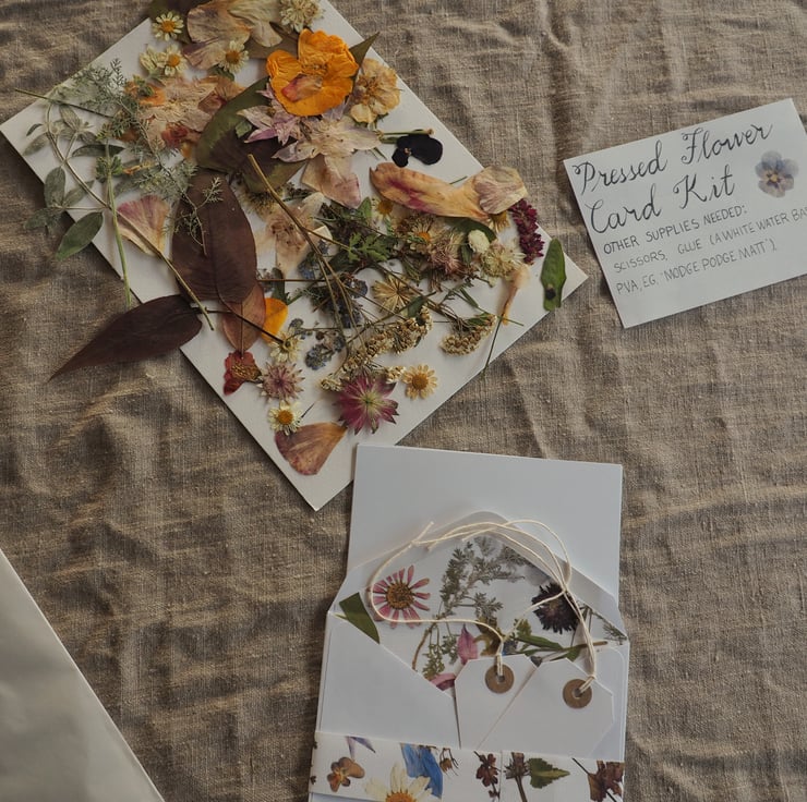 Pressed Flower Card Making Kit Folksy