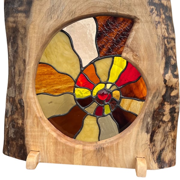 Ammonite stained glass framed in ethically sourced sycamore wood.
