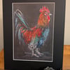 Frank, an A4 print of an original drawing of a cockerel