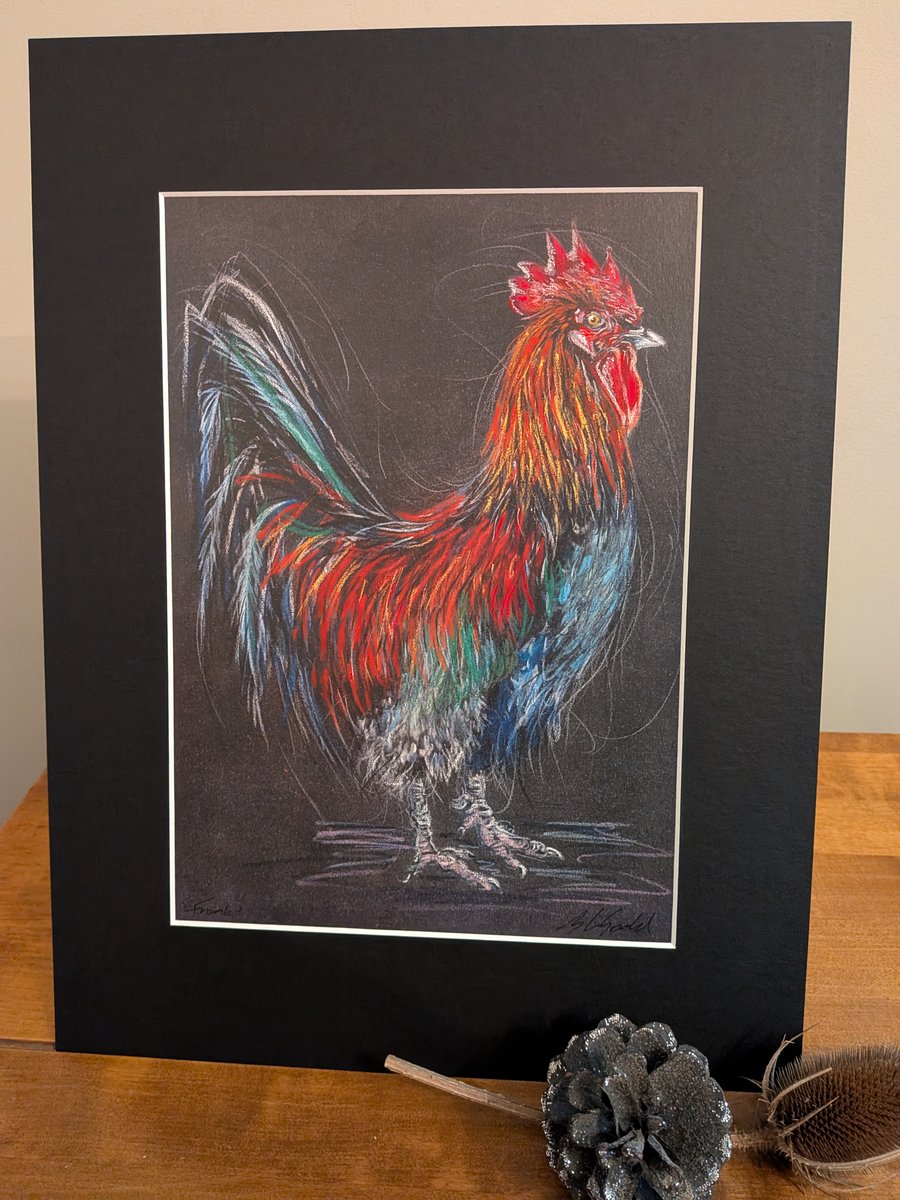 Frank, an A4 print of an original drawing of a cockerel