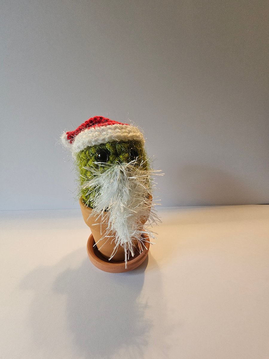 Christmas Crochet cactus with Santa beard 