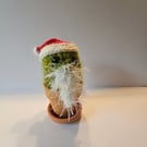 Christmas Crochet cactus with Santa beard 