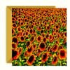 Field of Sunflowers, Birthday, Greetings Card