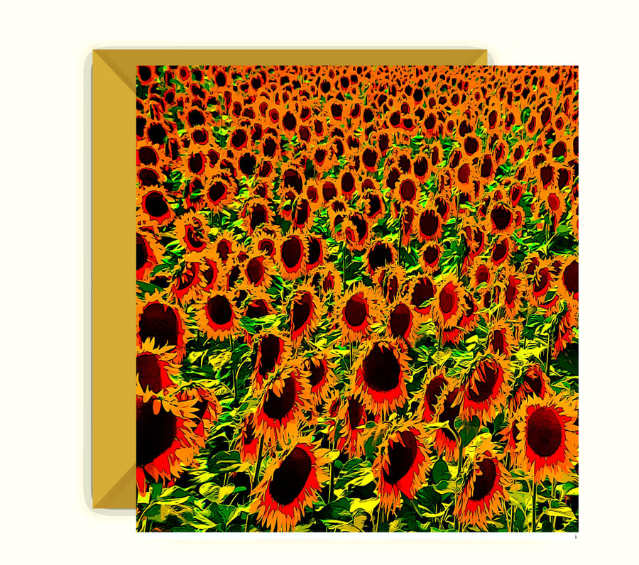 Field of Sunflowers, Birthday, Greetings Card