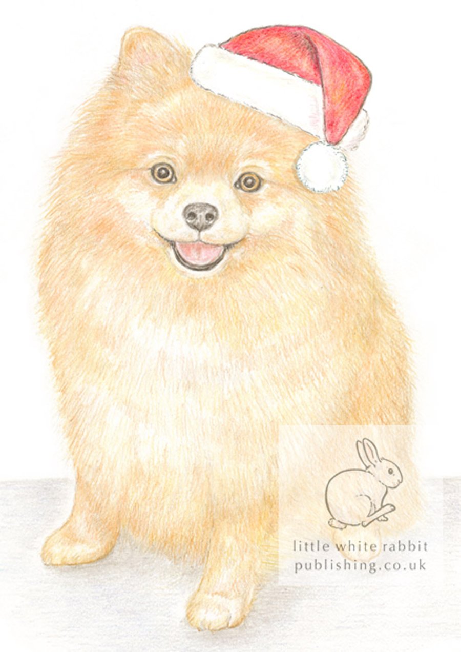 Poppy the Pomeranian - Christmas Hat Card