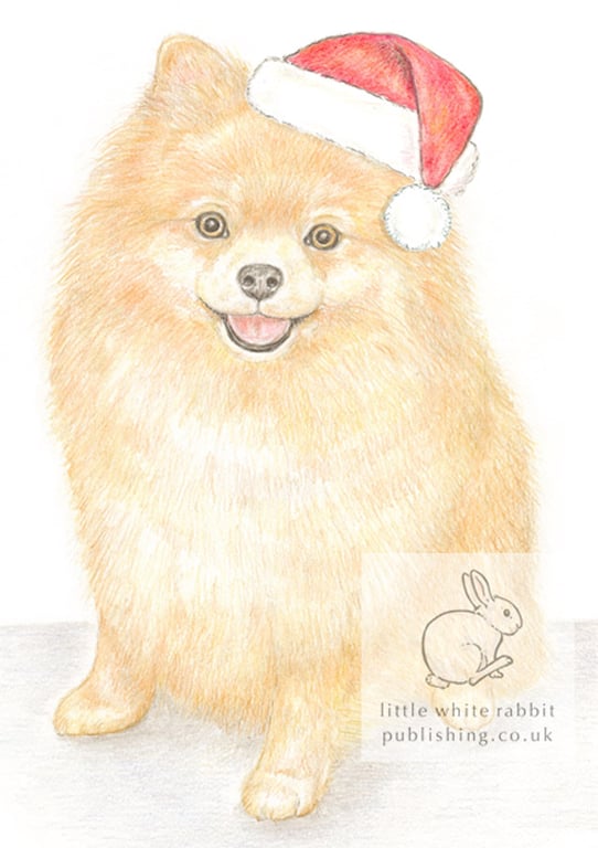 Poppy the Pomeranian - Christmas Hat Card