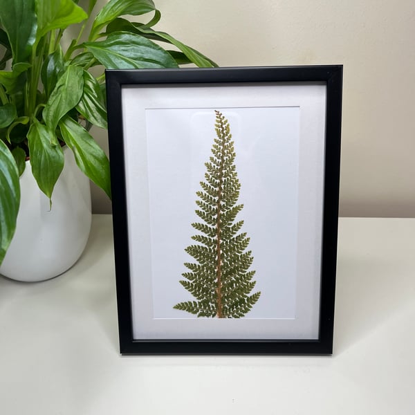 Perfectly Imperfect Real Pressed Fern Framed Art