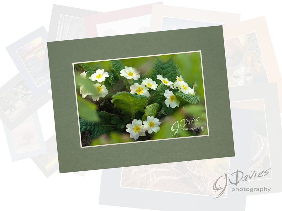 CJ200 - Spring is here