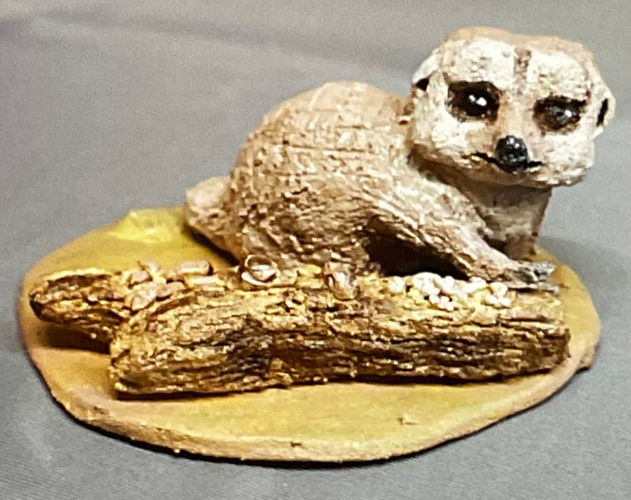 Single Meerkat and Log