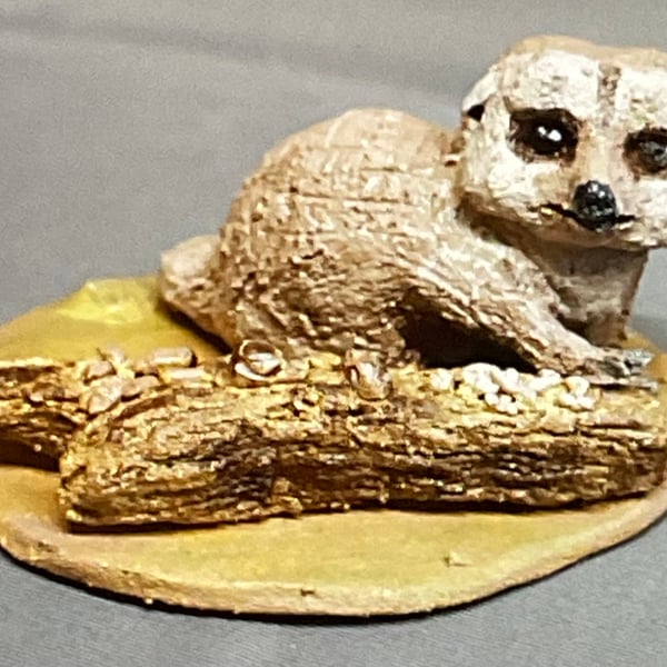 Single Meerkat and Log