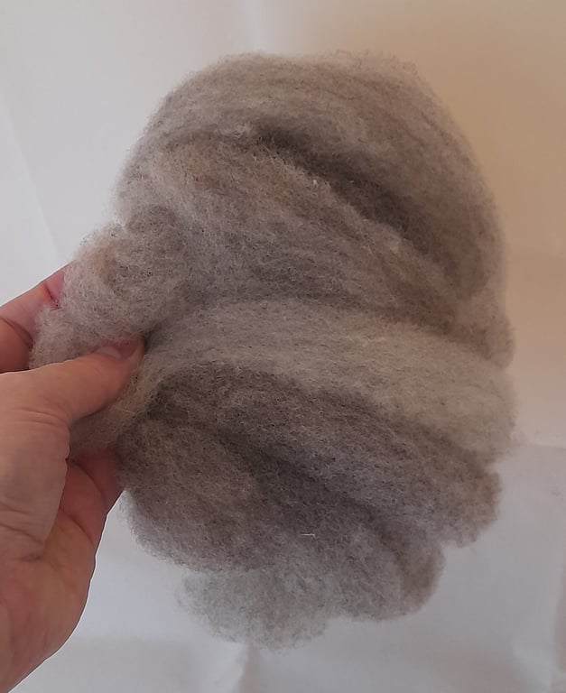 Combed blue texel fibre for felting and crafts 