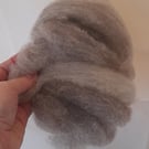 Combed blue texel fibre for felting and crafts 