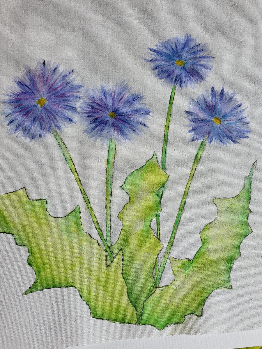 Cornflowers original watercolour