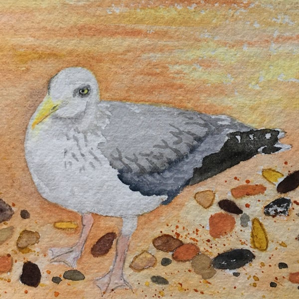 Beach seagull art