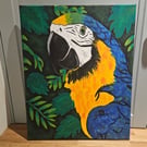 Blue Macaw in it's natural Habitat 