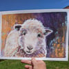 Happy ewe original pastel painting