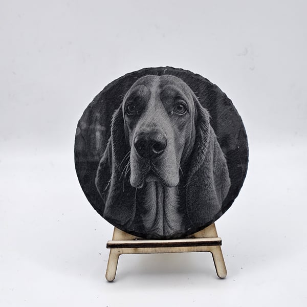Dog engraved slate