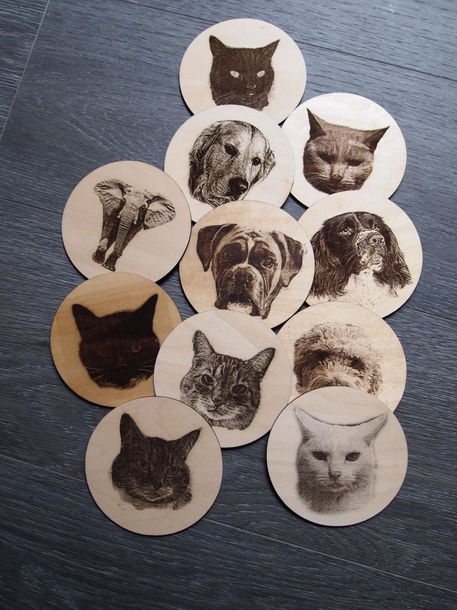 Cat or Dog Coaster Personalised
