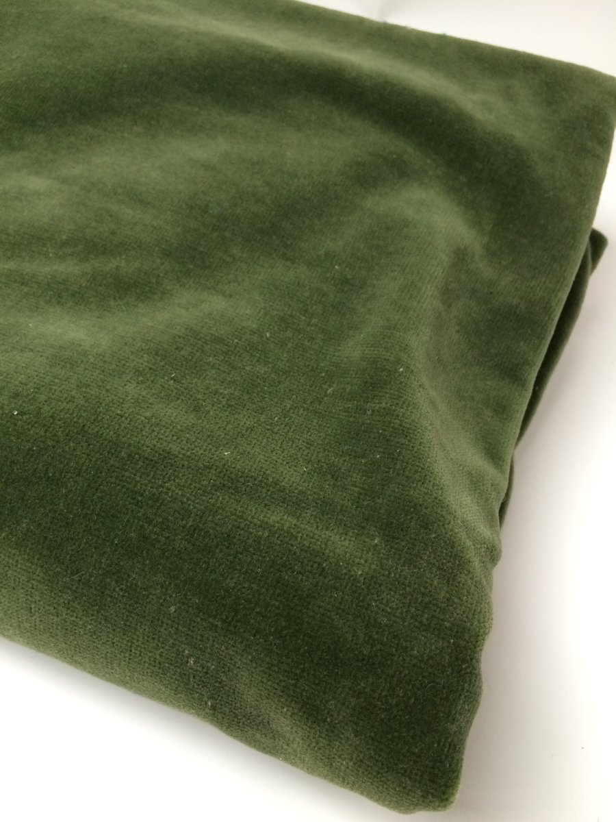 Fabric remnant - beautiful sage green velvet.