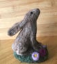 Baby Hare - Image 2