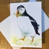 FREE UK POSTAGE A5 blank card of my original puffin watercolour
