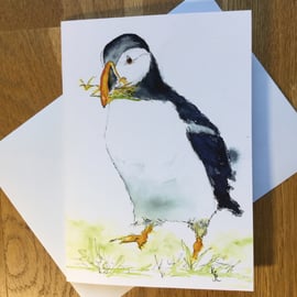  A5 blank card of my original puffin watercolour