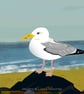 Gull on the beach - A5 - seagull -  bird art print - coastal birds - Image 2