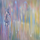 Looking Beyond is a vibrantly coloured semi abstract deer painting