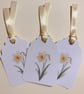 Daffodil Birth Flower Gift Tags - Set of 3 Botanical March Flower Tags
