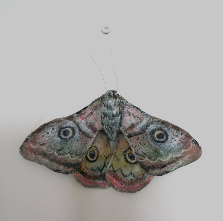 Emperor Moth Papier-Mâché Sculpture - Folksy