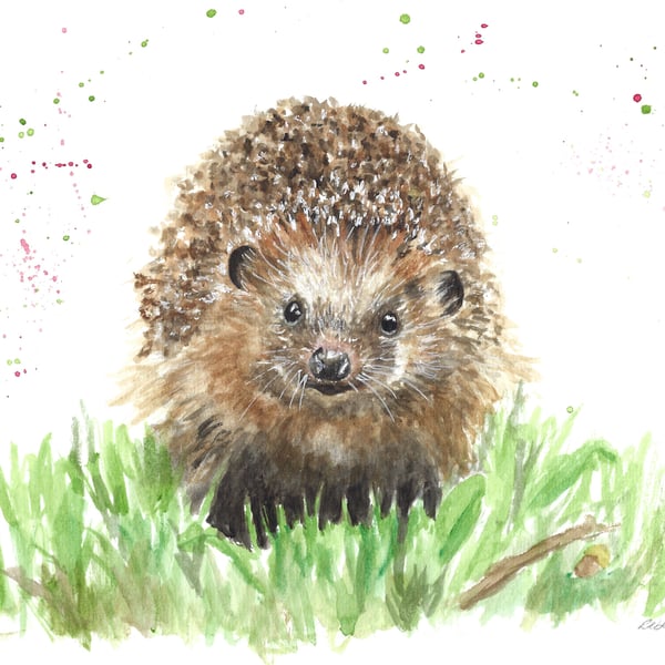 Henrietta the Hedgehog - Original Watercolour Painting