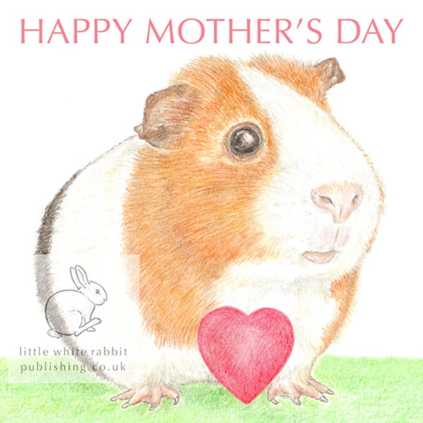 Gilbert the Guinea Pig - Mother's Day Card