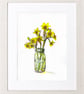 Cornish narcissi - Image 2