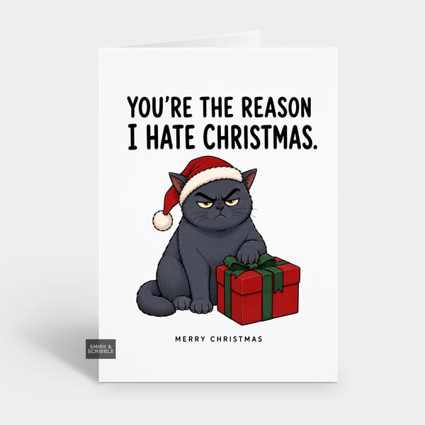 Funny Christmas Card - The Reason Grumpy Cat