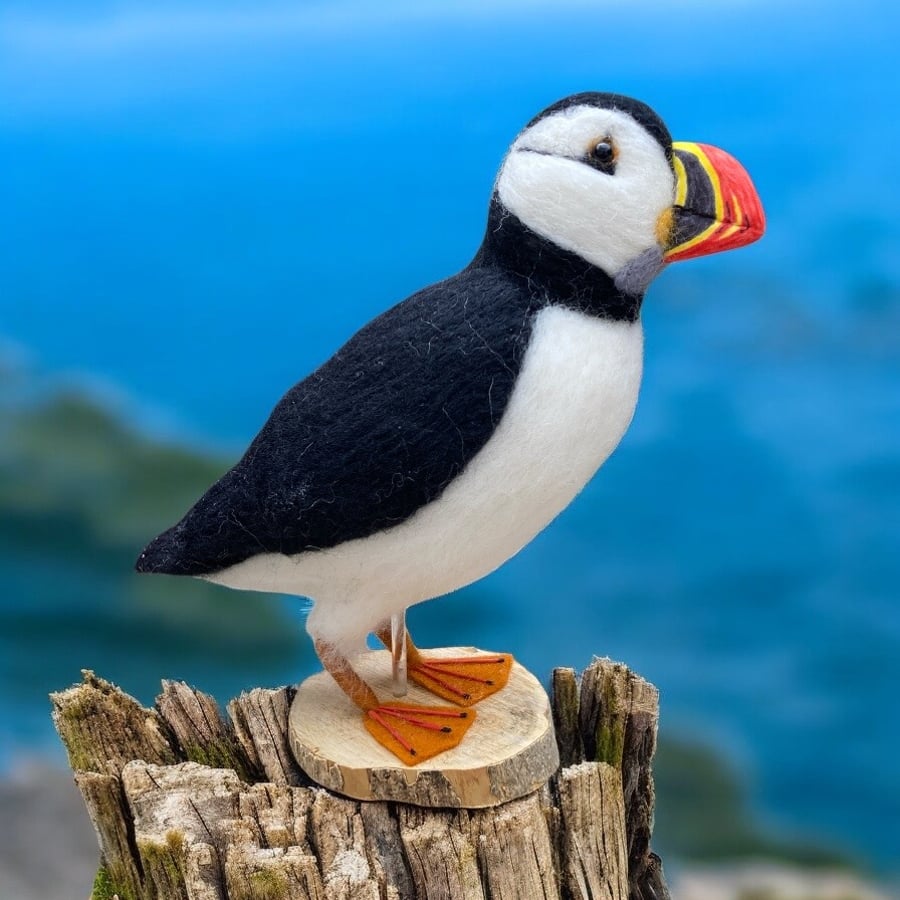 Needle felt Puffin sculpture, Woollen sculpture, model