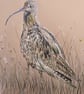 Curlews, an A4 or A3 mounted signed print. - Image 5